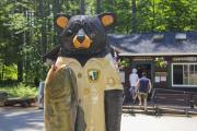 Photo: BEAR BROOK STATE PARK