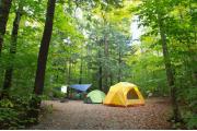 Photo: DRY RIVER CAMPGROUND
