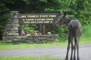 Photo: LAKE FRANCIS STATE PARK