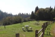 Photo: MOLLIDGEWOCK STATE PARK