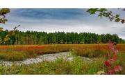 Photo: PAWTUCKAWAY STATE PARK