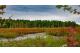 Photo: PAWTUCKAWAY STATE PARK