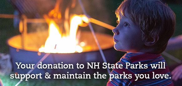 Your donation will support and maintain the parks you love.