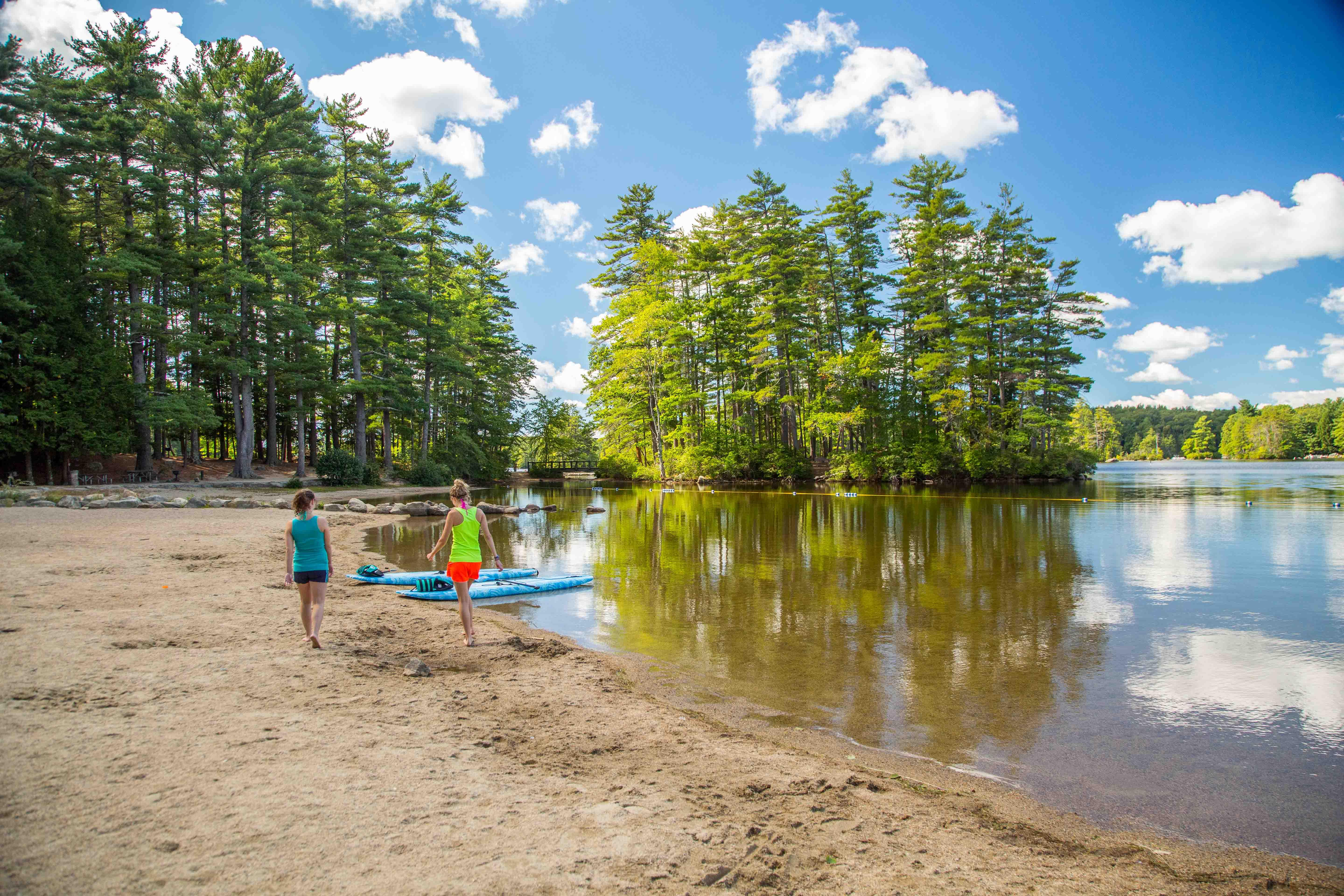 Are Dogs Allowed At Nh State Campgrounds