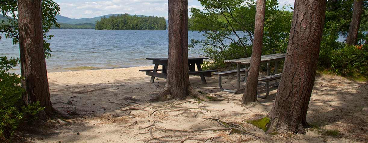 Escape to the Mountains: A Guide to Wellington State Park in New Hampshire