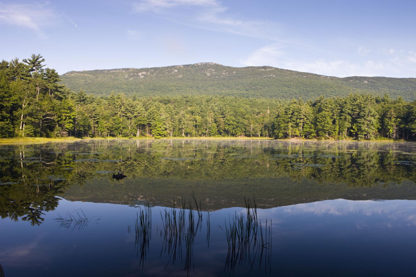 are dogs allowed at mount monadnock